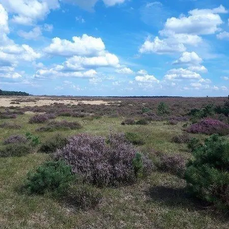 Natuurhuisje Semesterbostad Otterlo